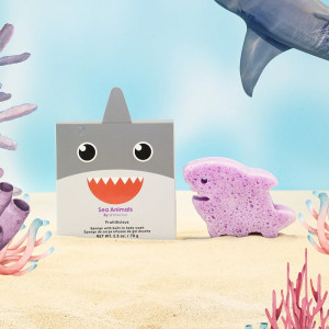 Sea Animals - Shark
